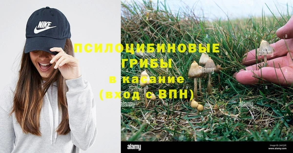 стафф Кинешма