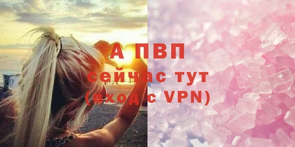 стафф Кинешма