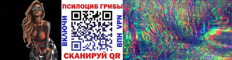 Купить закладки Вилюйск Галлюциногенные грибы MAGIC MUSHROOMS