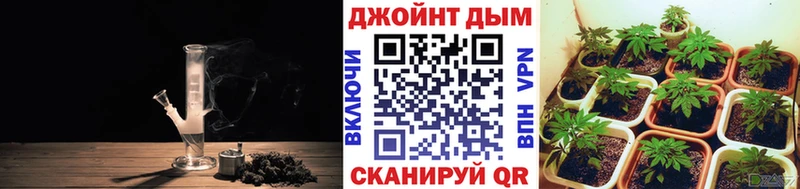 Купить  Вилюйск  Бошки Шишки конопля 